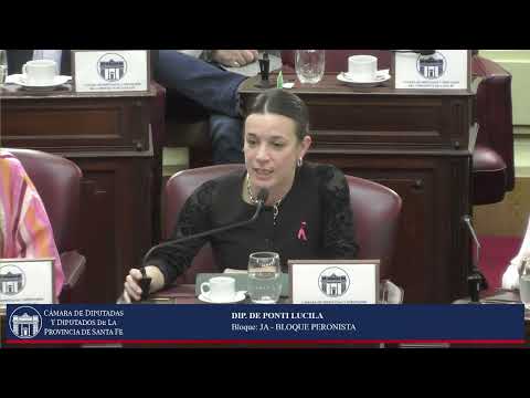 INTERVENCION DIPUTADO DE PONTI LUCILA - SESIÓN ORDINARIA Nº17 -PERIODO ORDINARIO 144º- 15/10/26