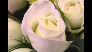 Roses blanches de Corfou (Nana Mouskouri) Reprise