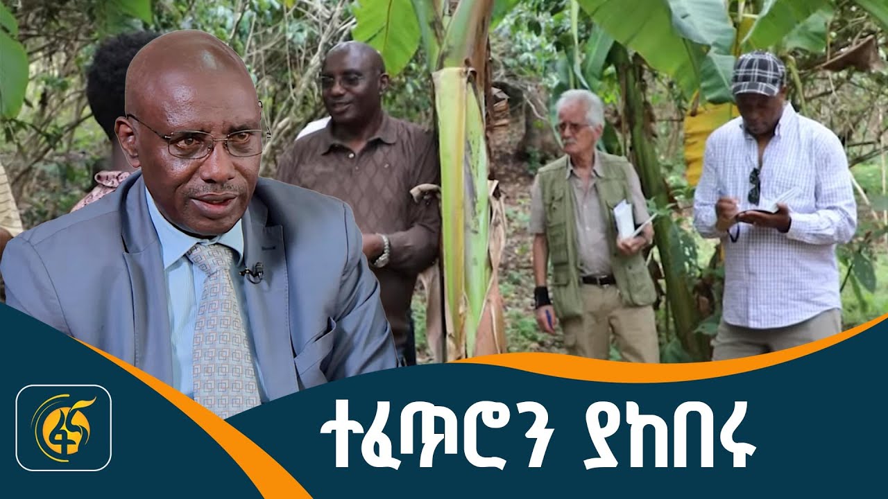 በተመራማሪነት፣ በመንግስታዊ ኃላፊነትና ገብረ ሰናይ ድርጅት መስራችነት - አፈወርቅ ?