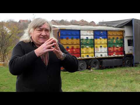 Domaćine kako radiš 29.11.2021. Pčelarstvo, Dražanj kod Grocke, Trska kod Rače