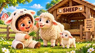 Baby Learns Animals & Their Homes with Cute Baby Animals 🐶🐱🐮 Education