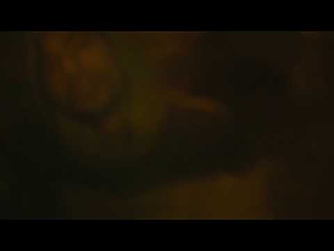 4. Zona 9 - Custuri (VIDEO)