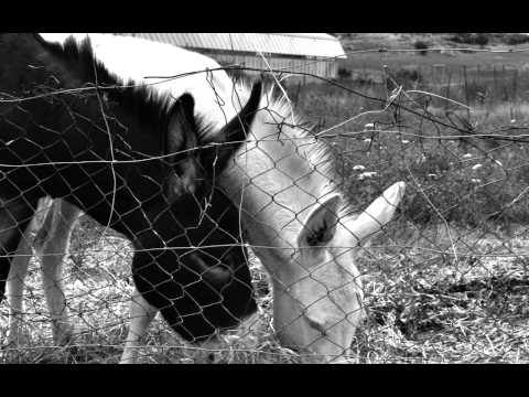 Corso di fotografia nella comunità di recupero di Dianova Ortacesus: Salvatore Gallo, divenire
