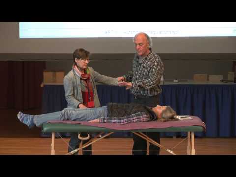 Dr. med. Dietrich Klinghardt - Autonomer Regulationstest II - Seminar 2012 - Sehprobe