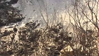 Reading the Traveled Way