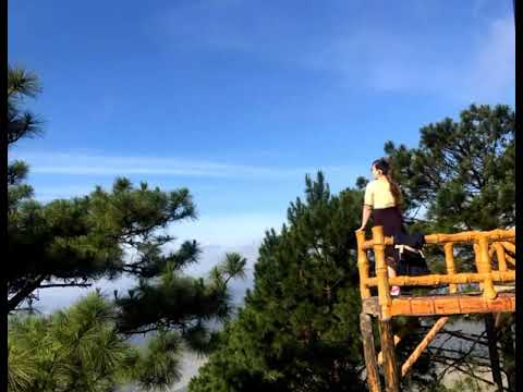 Thể hiện bởi Hoài Mỹ