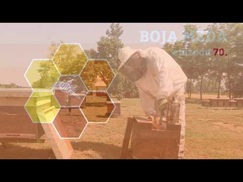 Boja meda ep. 70 09.07.2019. NAJAVA