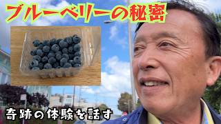 【ブルーベリーがもたらすという健康改善の真偽】ひょんなことから、ブルーベリーを毎日食べてみたら健康促進はホントに実現するのかな？と思いついたのだった。そして３週間が経過した.......