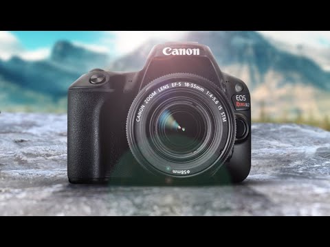 Canon SL2 (200D) Review | Still Worth The Buy in 2020?