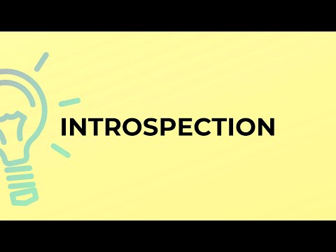 What is the meaning of the word INTROSPECTION?