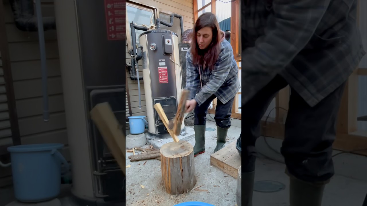 moments from this week on the #farm #farmlife #moments #hellolilly #japan #animals #simple #life