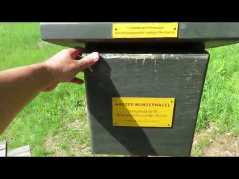 Stempelstelle 55 Wüstung Selkenfeld / Kirche - Harzer Wandernadel