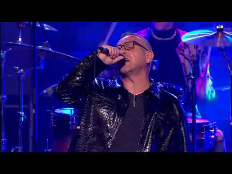 PIPHY DUGA DEVETKA - AUTORSKA - 18.12.2022. - INSTA TV