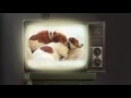 Lucy Vampoosy The Little Vampire Dog Trailer