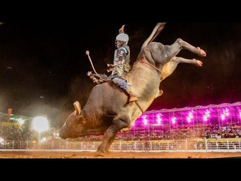 BULLFIGHT FINAL - PALMITAL Rodeo 2025 / COWBOYS CUP FINAL (Official 4K)