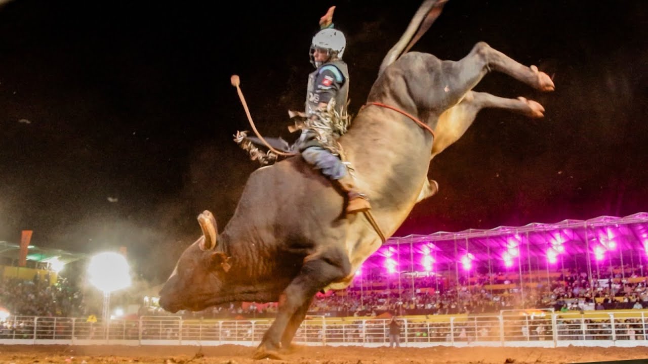 FINAL EM TOUROS - Rodeio de PALMITAL 2025 / FINAL COPA OS VAQUEIROS (Oficial 4K)