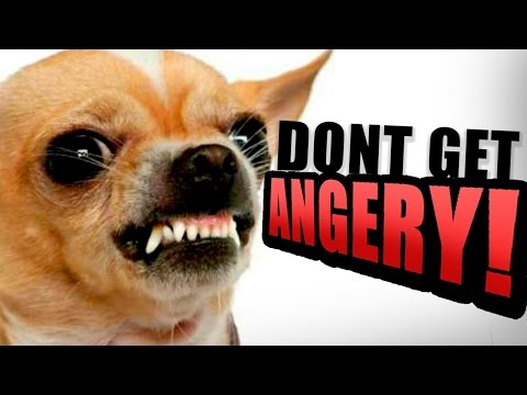 TRY NOT TO GET ANGRY CHALLENGE!