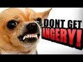 TRY NOT TO GET ANGRY CHALLENGE