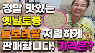 2026년도 옛날토종 햇 늘보리쌀 저렴하게 판매합니다. 보리쌀 늘보리쌀 찰보리쌀 겉보리쌀 010-3215-6…