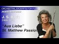 Bach - “Aus Liebe” from St. Matthew Passion | Baxtresser | Orchestral Excerpts for Flute