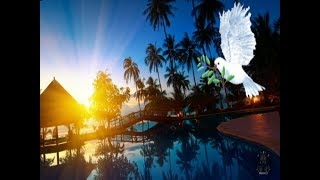 Billy Vaughn And His Orchestra - La Paloma