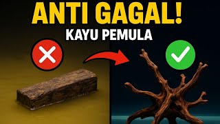 Download lagu 5 Cheap Aquascape Woods for Beginners (Safe & Fail-Safe!) mp3