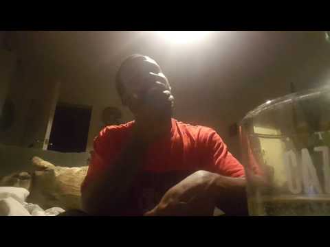 Haze tha gift vs Hazey Williams recap #wegohardtv