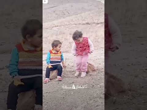 Cuda 💍 Zeki #barangelinlik #nusaybin #shorts #gelindamat