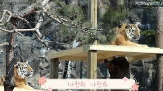 🏕해랑 사랑 호타워에서 투샷(25.3.20)
