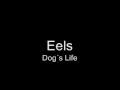 Eels - Dog`s Life