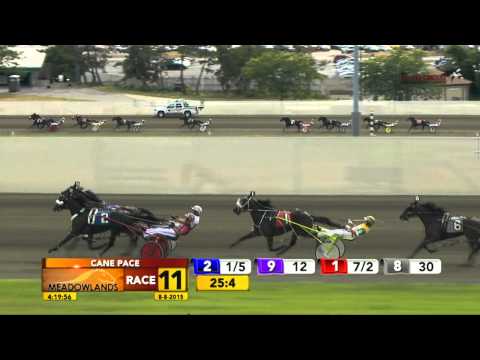 Cane Pace - Dealt A Winner - August 8, 2015