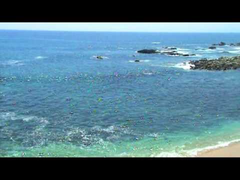 Private Beach Cabo Bello  Cabo San Lucas