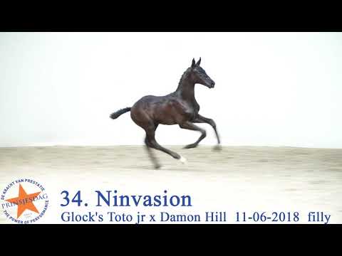 34 Ninvasion v. Glock’s Toto Jr x Damon Hill www.prinsjesdag.eu