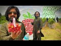 Manor Fruit Farm Strawberry Pick Point Tamworth Uk Vlog 186 UsmanalishahVlogs89