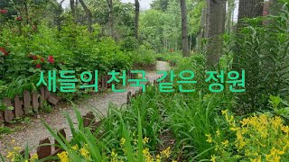 새들의 천국인 아름다운 정원 이예요