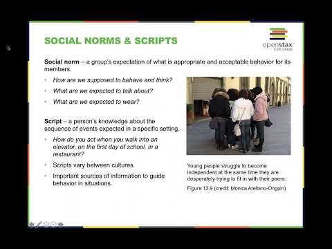 OpenStax Psychology Chapter 12: Social Psychology