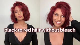 HOW TO: Dye BLACK Hair RED For Hot Girl Fall *WITHOUT BLEACH* 🍂❤️ @BradMondo
