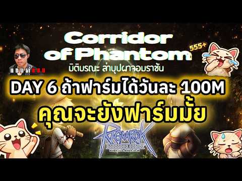 Ragnarok Online แมวนักสู้ ใครไม่ฟาร์ม ผมฟาร์ม สวัสดีตอนเช้า ชั่วโมงละ 700-800 ดอก