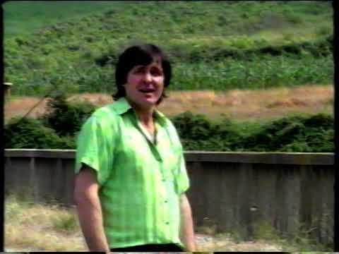 vlaska muzika/s.pavlovic seri-kumes frumosa dajkuca