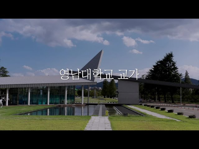 Youtube Preview