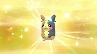 TEST     [ポケモン剣盾]　孵化厳選＆色違い厳選配信。