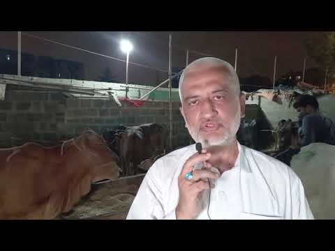 Online Qurbani 2021