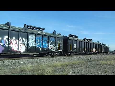 NS 6969 Leads Local Freight - 11/17/2024