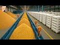 How Billions Of Pounds Of Fertilizer Are Made Inside Massive Production Line