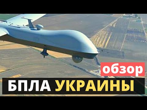 RAM UAV, PD-2, UJ-22, RAM II, BB LUACC, Sokol-300, SkyFist. Status and prospects.