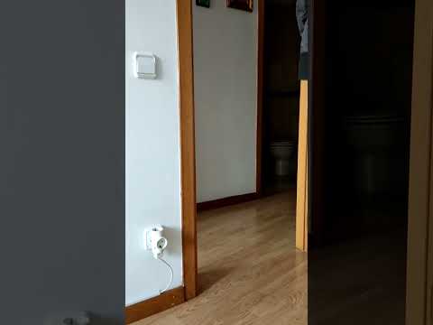 Un sábado tranquilo. #sabado #tranquilidad #horror #shorts #casa #pasillo #crazymaddoctor