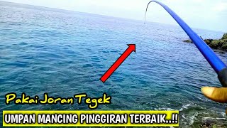 Download lagu UMPAN TERBAIK..!! Mancing Ikan Karang Pakai Joran Tegek Di Pinggiran Laut || Umpan Udang Kupas mp3 Download lagu UMPAN TERBAIK..!! Mancing Ikan Karang Pakai Joran Tegek Di Pinggiran Laut || Umpan Udang Kupas mp3