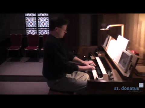 GL 530 /1 - Halleluja und Vers - 24.1.2010