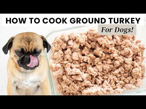 How to Cook Ground Turkey for Dogs (Simple, Healthy & Vet-Safe)
