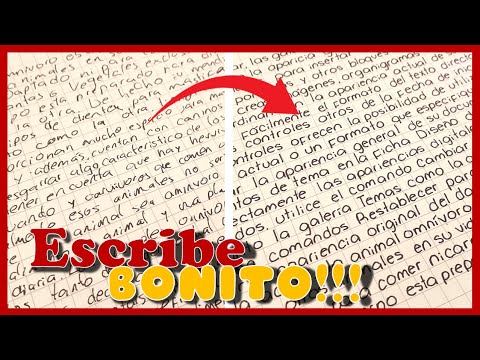 HOW TO WRITE BEAUTIFULLY 🌿 | Improve your print handwriting EASILY and QUICKLY ✍